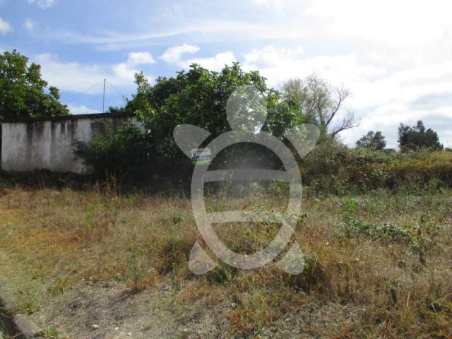 Terreno venda em Condeixa-a-nova, Coimbra