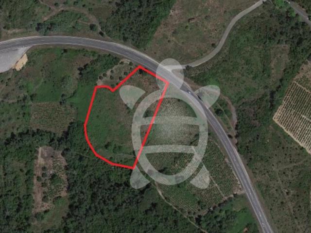 Terreno venda em Condeixa-a-nova, Coimbra