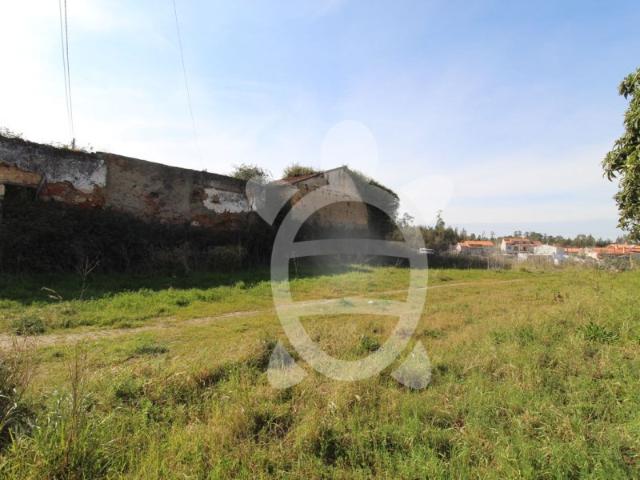 Terreno venda em Condeixa-a-nova, Coimbra