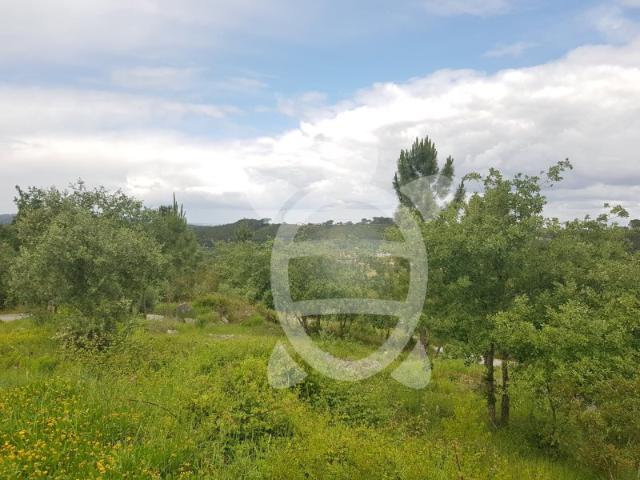 Terreno venda em Condeixa-a-nova, Coimbra