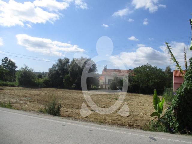 Terreno venda em Condeixa-a-nova, Coimbra