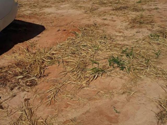 Terreno venda em Terra Azul KR, Piracicaba