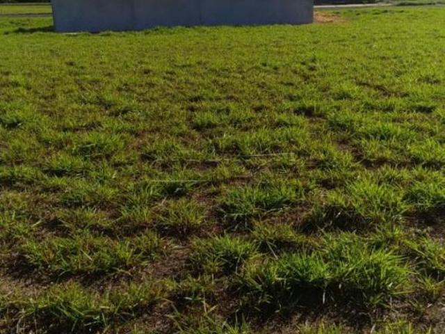 Terreno venda em Região Imediata de Rio Claro, Região Metropolitana de Piracicaba