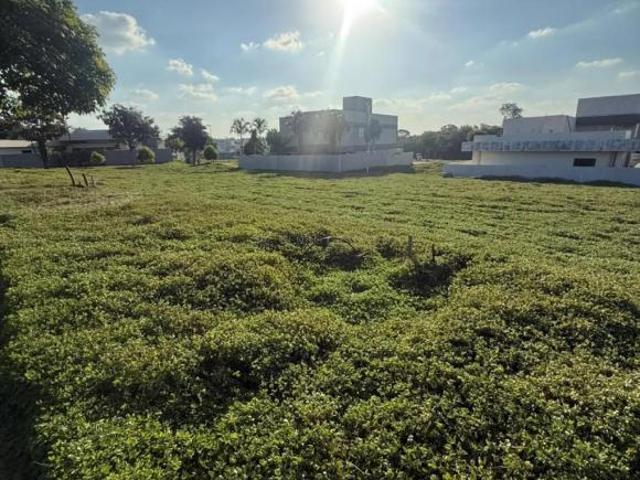 Terreno venda em Região Geográfica Imediata de Maringá, Maringá