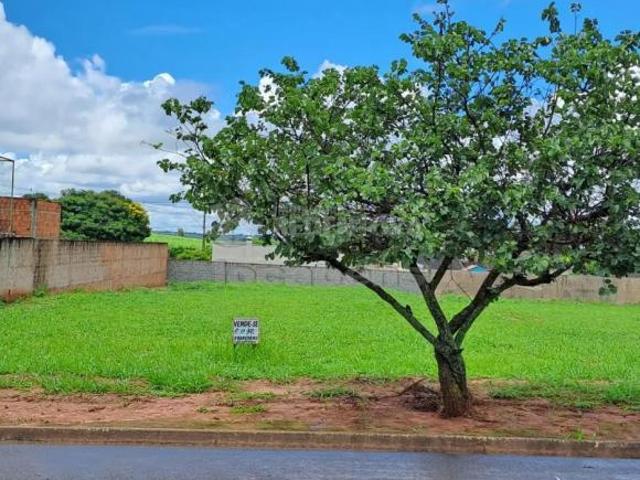 Terreno venda em Região Imediata de São José do Rio Preto, Região Metropolitana de São José do Rio Preto