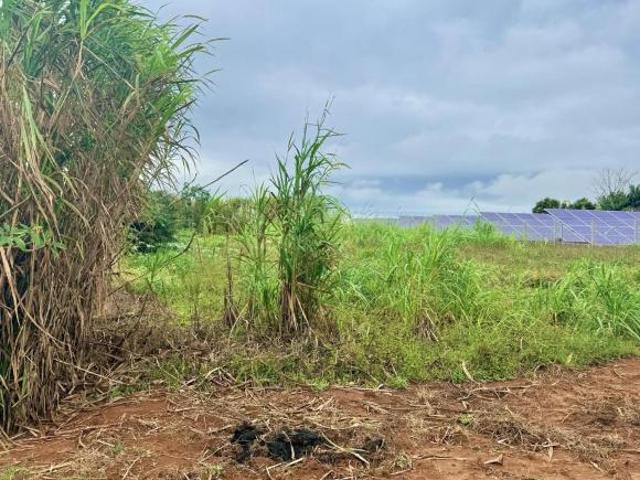 Terreno venda em Região Geográfica Imediata de Maringá, Santa Fé