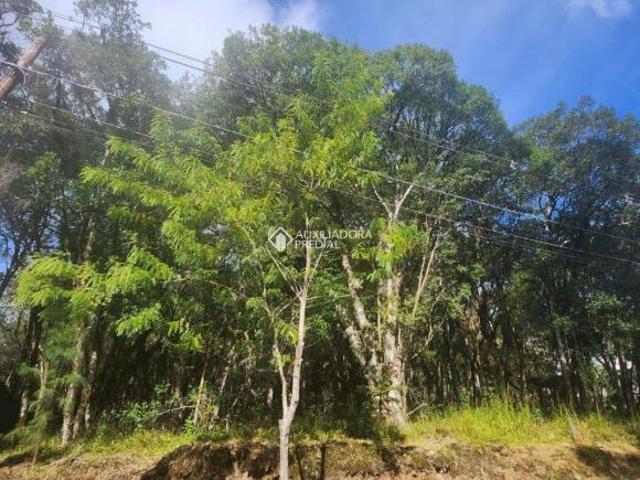 Terreno venda em Região Geográfica Imediata de Caxias do Sul, Gramado