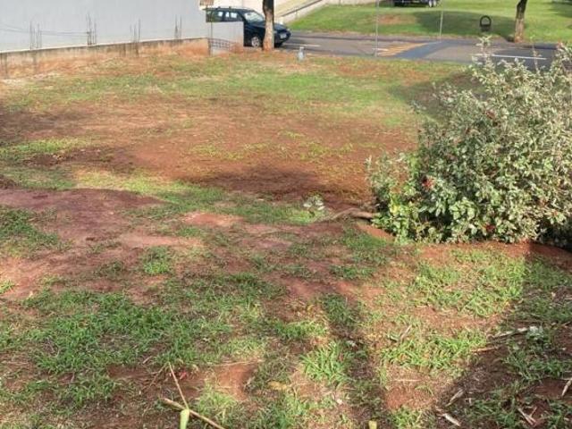Terreno venda em Região Geográfica Imediata de Loanda, Porto Rico
