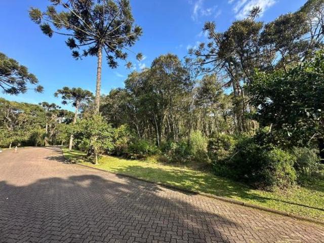 Terreno venda em Região Geográfica Imediata de Caxias do Sul, Canela
