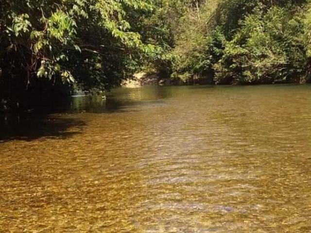 Sítio e chácara venda em Região Geográfica Imediata de Cuiabá, Região Metropolitana do Vale do Rio Cuiabá