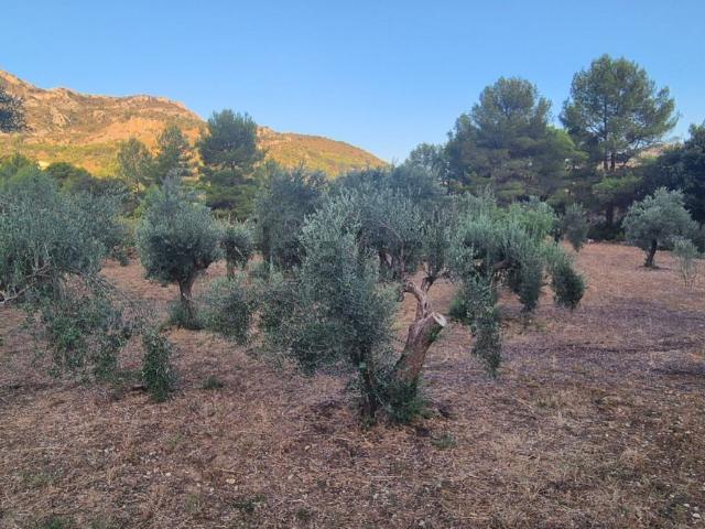 Terreno en venta en la Marina Baixa, Valencia