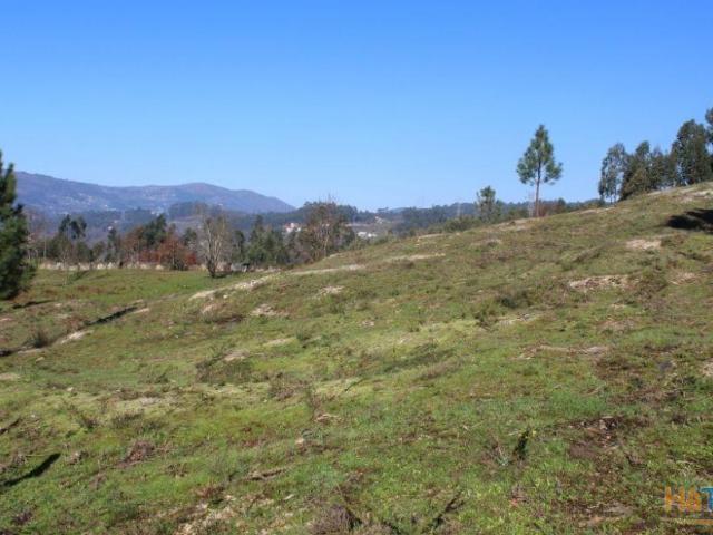 Terreno venda em Arcos De Valdevez, Viana Do Castelo