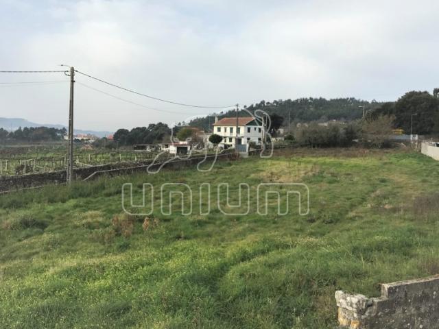 Terreno venda em Riba De Âncora, Riba de Âncora
