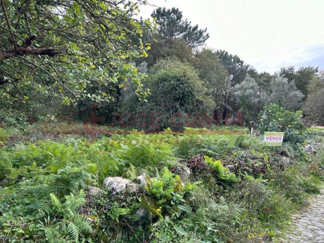Terreno venda em Viana Do Castelo