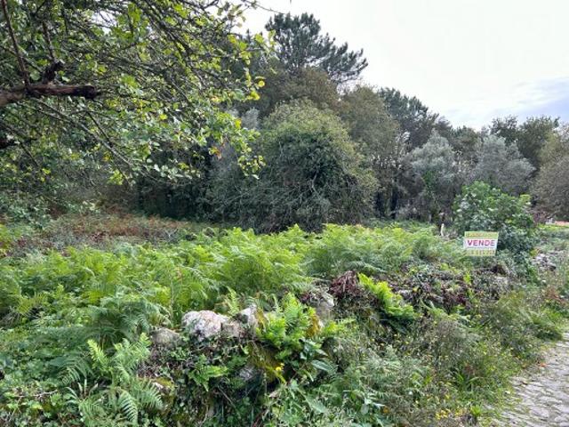 Terreno venda em Viana Do Castelo