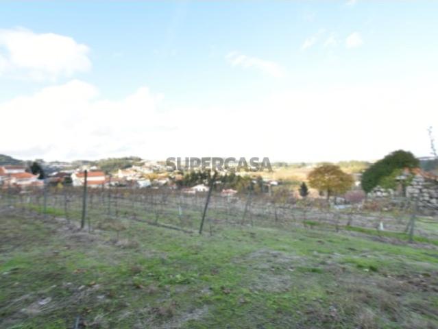 Terreno venda em Paredes, Bitarães