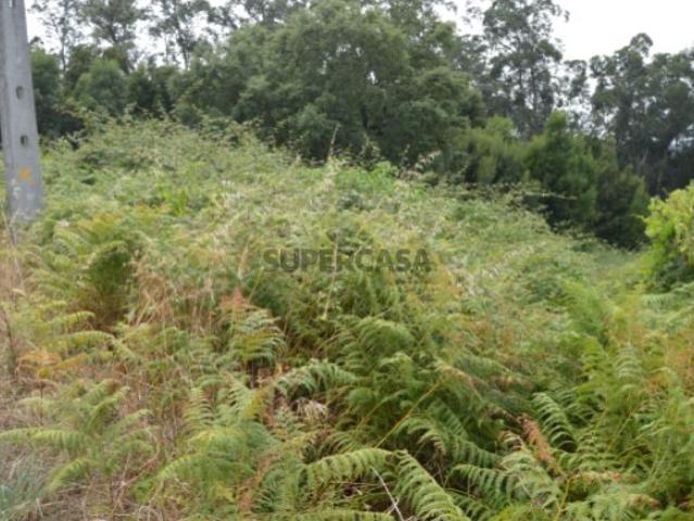 Terreno venda em Marecos, Porto