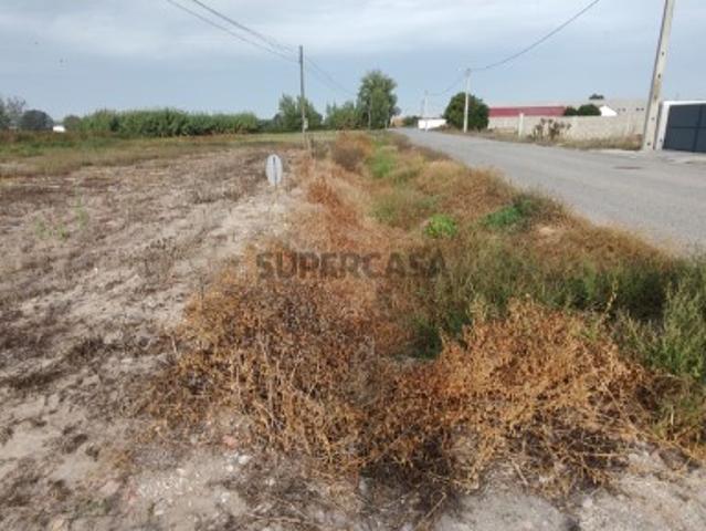 Terreno venda em Salvaterra De Magos, Santarém