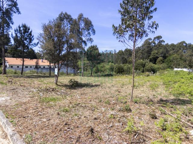 Terreno venda em Anta, Aveiro