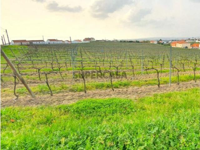 Terreno venda em Óbidos, Leiria