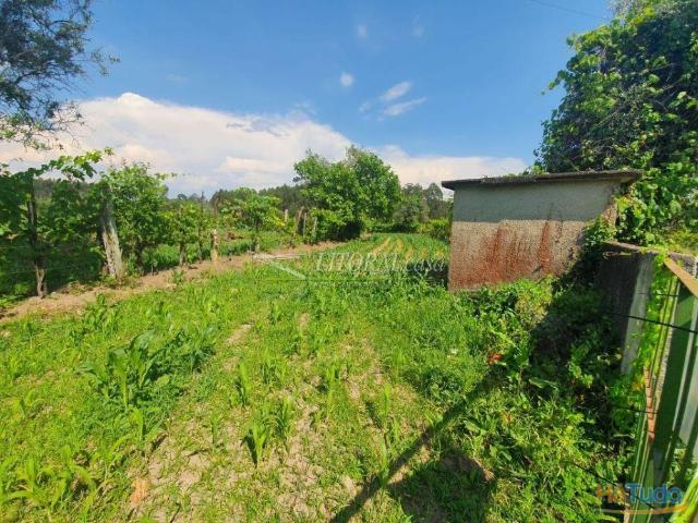Terreno venda em Albergaria-a-velha, Aveiro