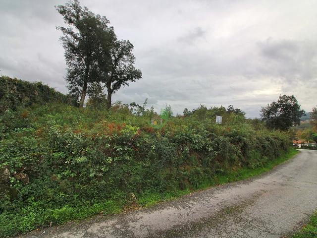 Terreno venda em Lajes do Pico