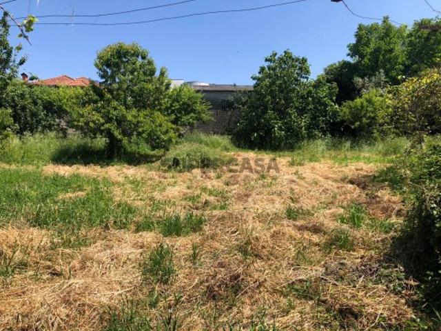 Terreno venda em Castelo De Paiva, Aveiro