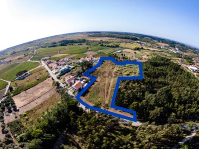 Terreno venda em Anadia, Aveiro