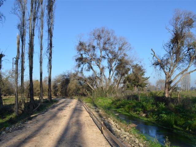 Terreno Construccion en Venta en alto linares 2