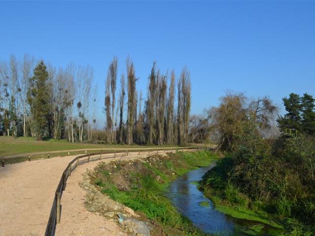 Terreno Construccion en Venta en alto linares 2
