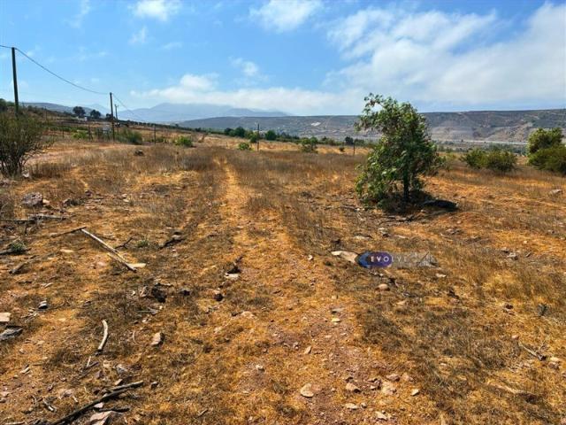 Terreno Construccion en Venta en Lagunillas