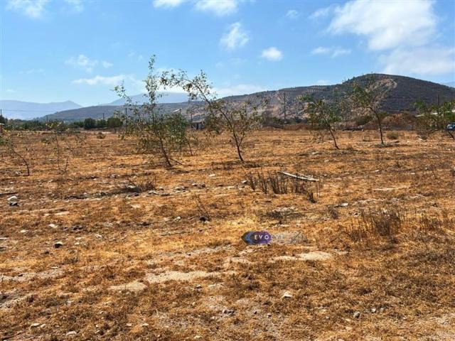 Terreno Construccion en Venta en Lagunillas