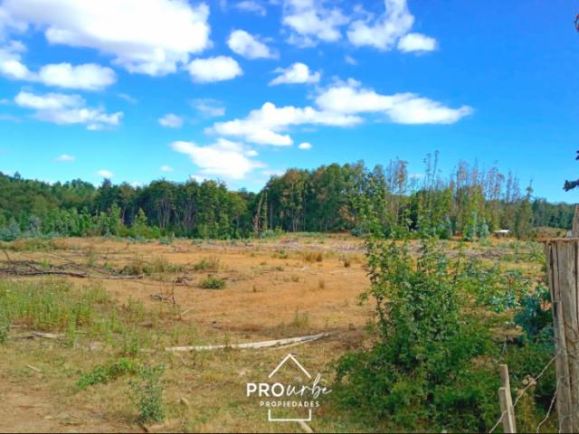 Terreno Construccion en Venta en Oportunidad Ultima parcela Venta en Verde Parcelación Agricola San Clemente