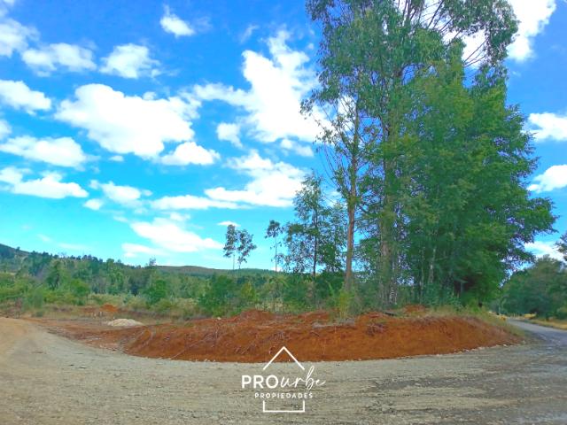 Terreno Construccion en Venta en Oportunidad Ultima parcela Venta en Verde Parcelación Agricola San Clemente