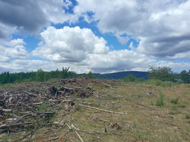 Terreno Construccion en Venta en Oportunidad Ultima parcela Venta en Verde Parcelación Agricola San Clemente