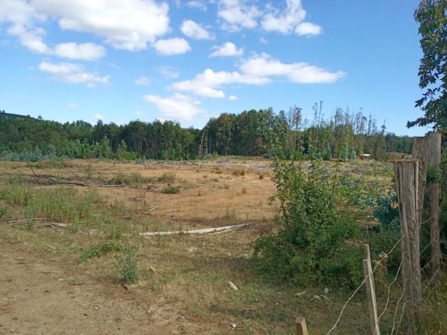 Terreno Construccion en Venta en Oportunidad Ultima parcela Venta en Verde Parcelación Agricola San Clemente