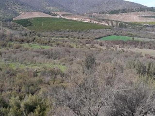 Terreno Construccion en Venta en Peralillo Illapel