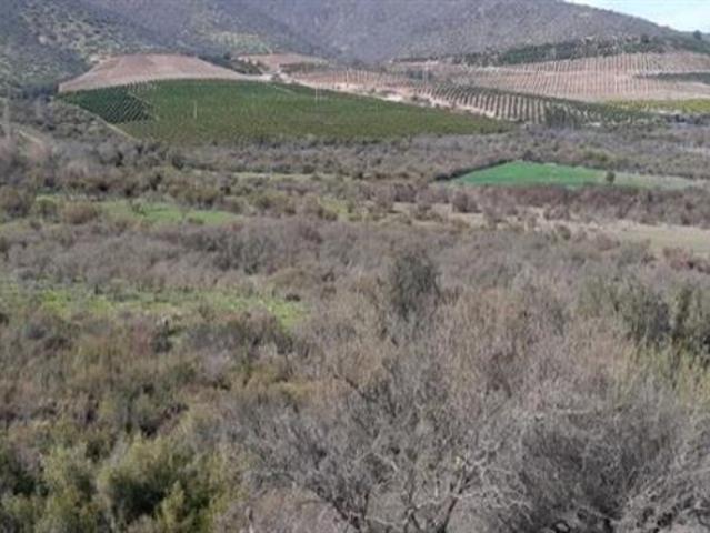 Terreno Construccion en Venta en Peralillo Illapel