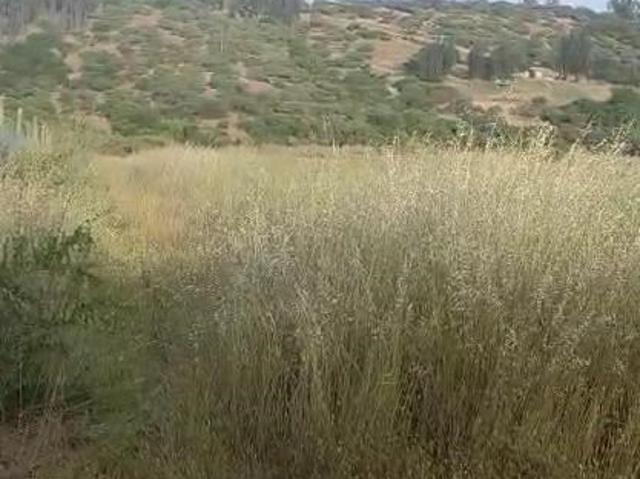 Terreno Construccion en Venta en San Pedro de Melipilla loica abajo