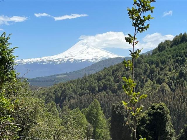Terreno Construccion en Venta en TERMAS DE MOLULCO, MELIPEUCO