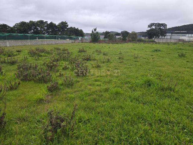 Terreno venda em Casal da Ponte, Alcobaça