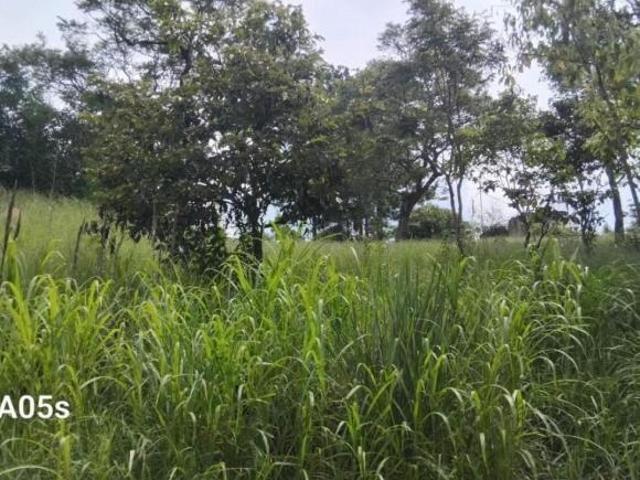 Terreno venda em Jardim Via Dutra, Arujá