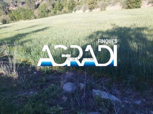 Terreno en venta en Anoia, Catalunya