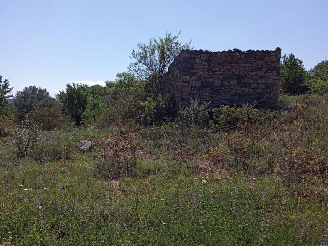 Terreno en venta en Poble Vell de Corbera d'Ebre, Corbera D'ebre