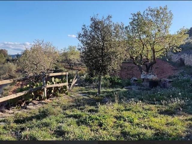 Terreno en venta en Corbera D'ebre, Tarragona