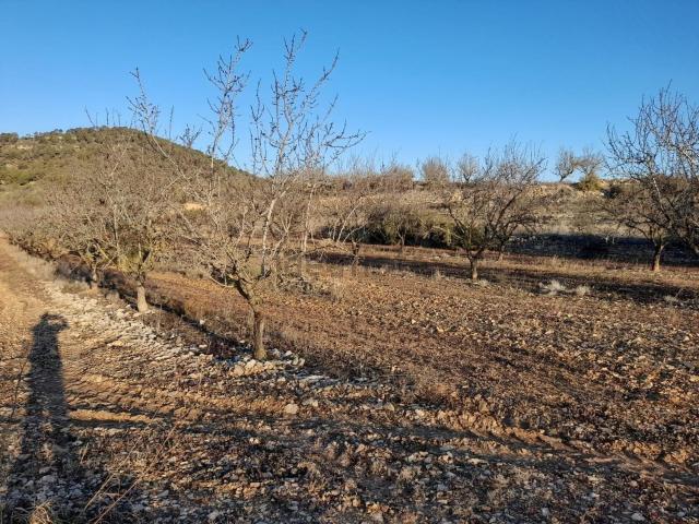 Terreno en venta en Terra Alta, Catalunya