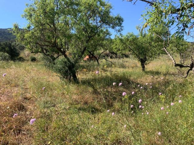 Terreno en venta en Terra Alta, Catalunya