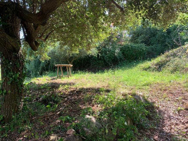 Terreno en venta en la Creu de l'Aragall, Baix Llobregat