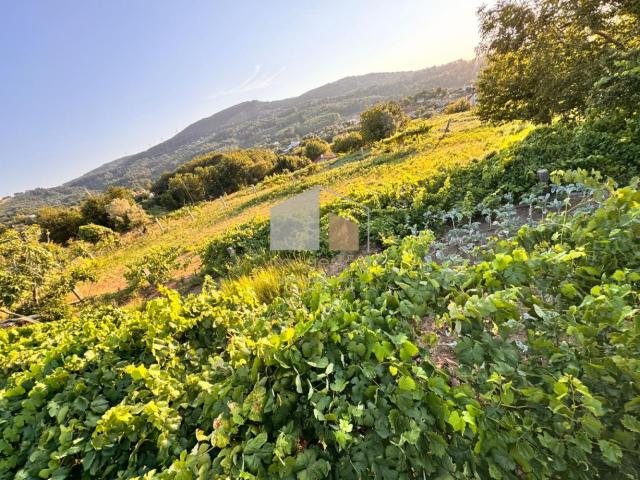 Terreno venda em Vila Nova De Cerveira, Viana Do Castelo