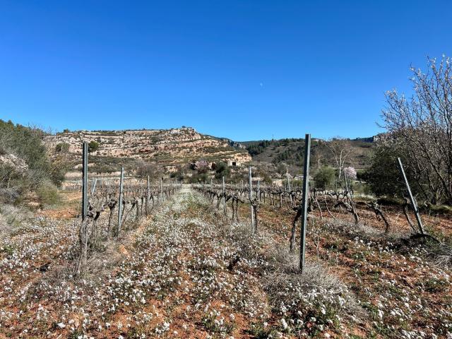 Terreno en venta en Priorat, Catalunya